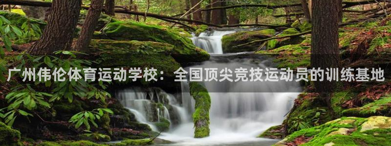 一竞技官网下载娱乐:广州伟伦体育运动学校:全国顶尖竞技运动员