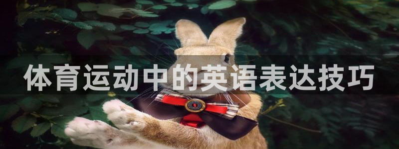 一竞技官网下载娱乐:体育运动中的英语表达技巧